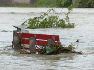 Flood Support Schemes Article